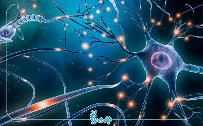 سیستم-عصبی-سمپاتیک-و-پاراسمپاتیک