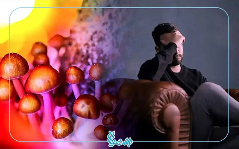مجیک ماشروم