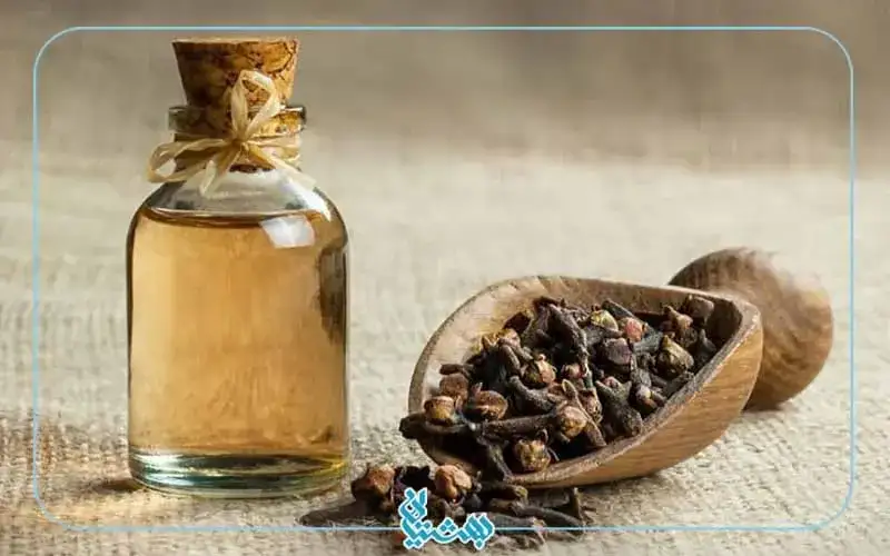 رایحه میخک