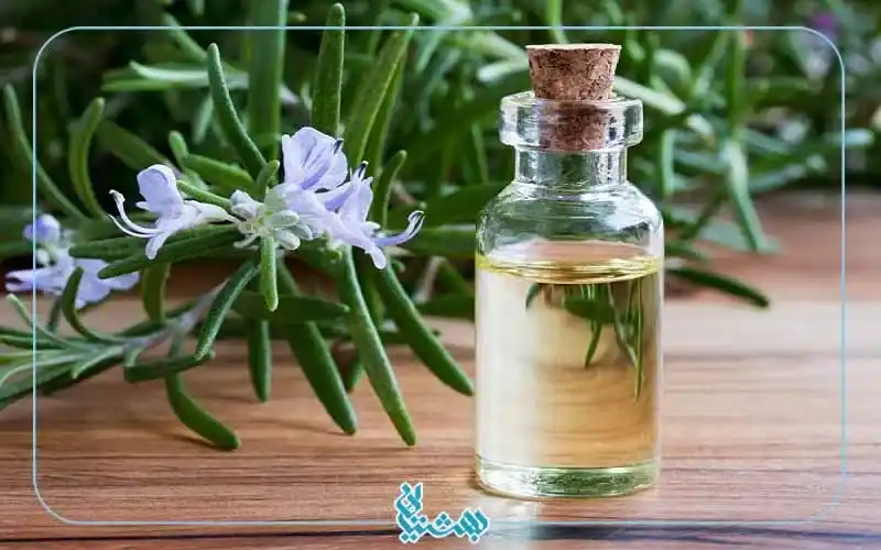 خواص عطر رزماری