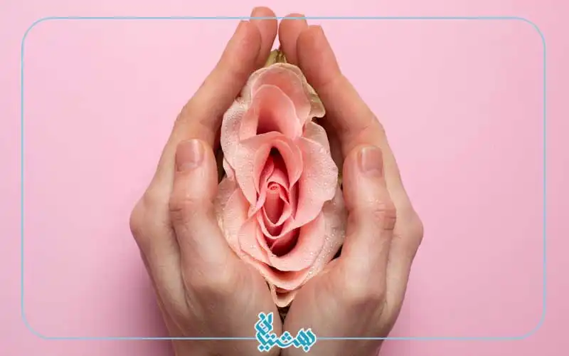 هایمن