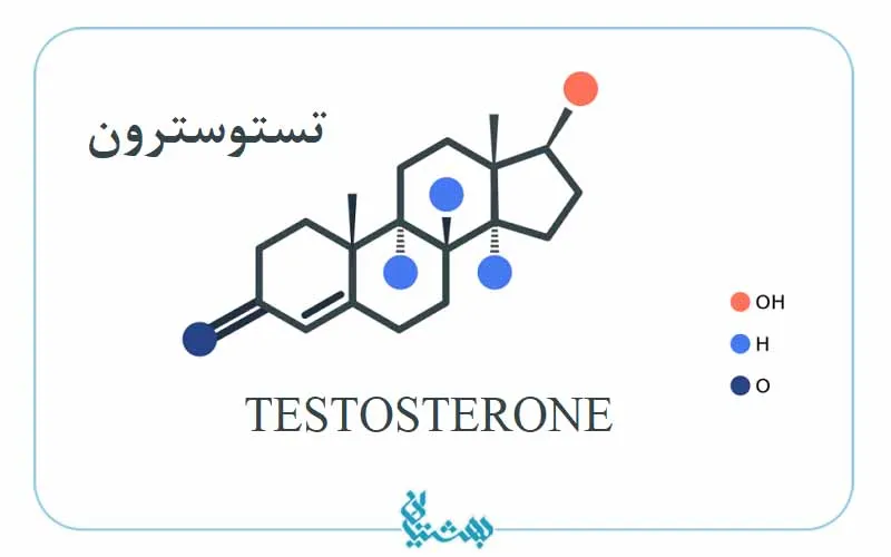 تستوسترون