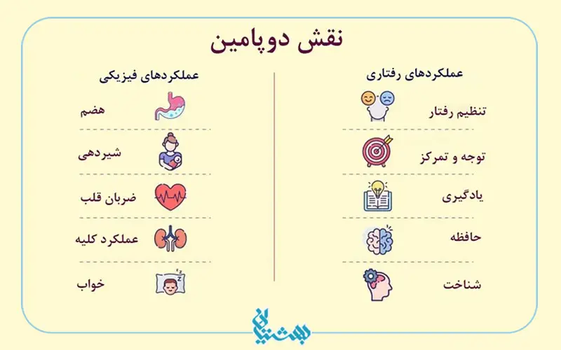 دوپامین و عملکرد آن